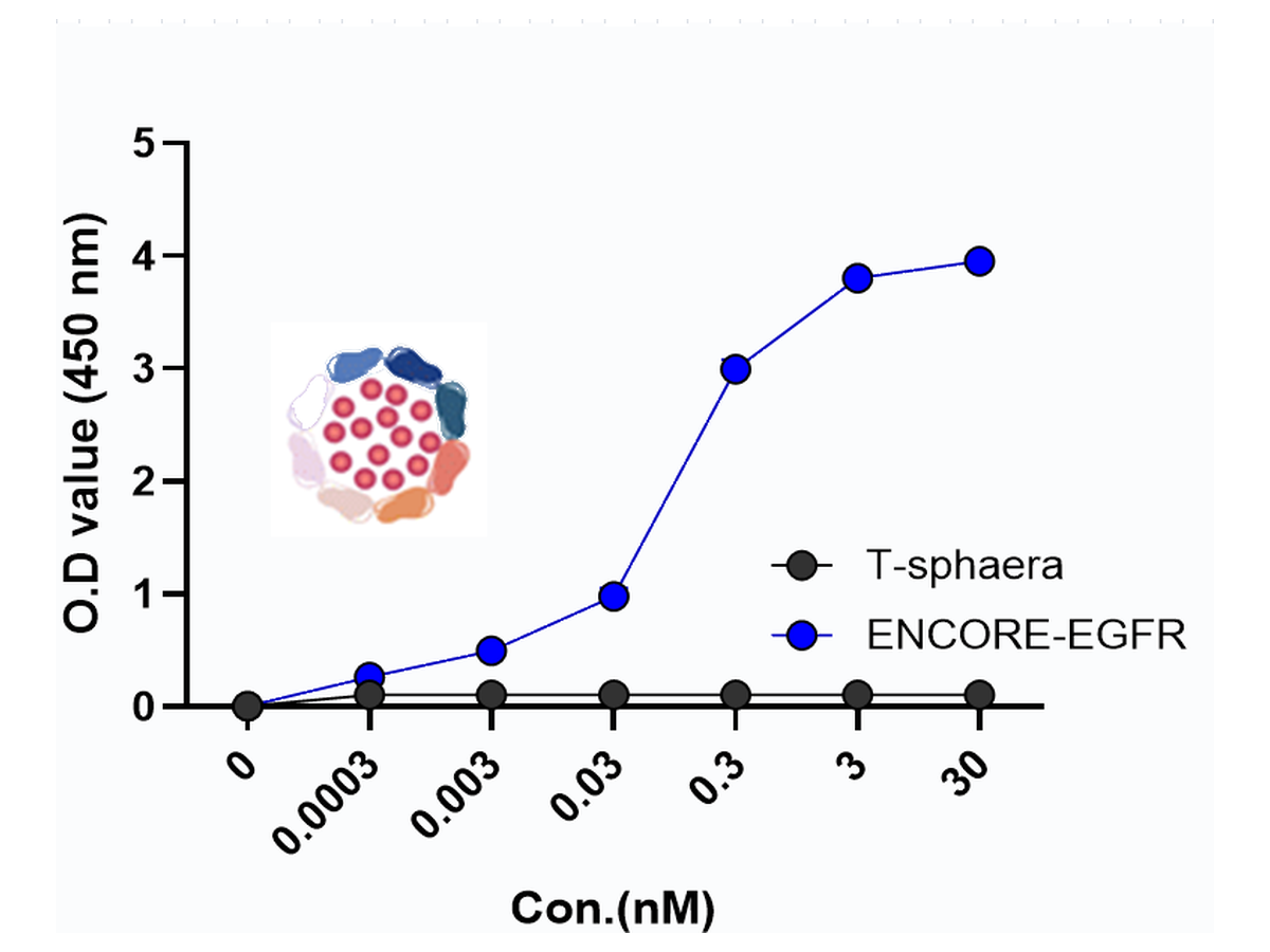 Targeting & Binding data